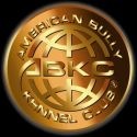 American Bully Kennel Club