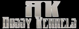 Bossy Kennels · American Bully XL Tropical Kennels