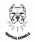 Tropical Kennels DefinitivoBlanco